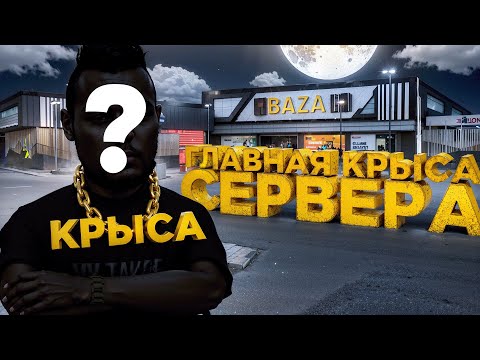Видео: ЭТОТ ИГРОК - ГЛАВНАЯ КРЫСА на РАДМИР РП в GTA CRMP