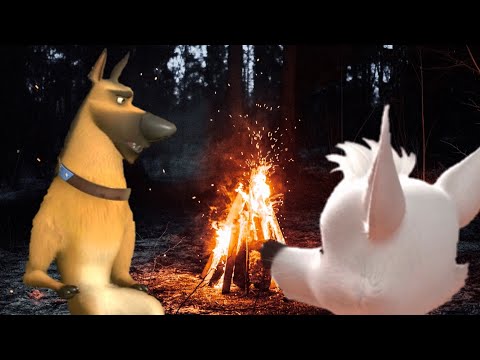 Видео: Белка и Казбек: Костёр