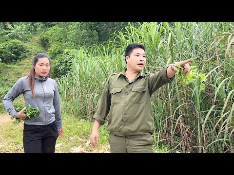 Видео: Полицейский Чак навестил Хонг и подбодрил ее, когда ее мать ушла.