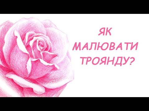 Видео: Як малювати троянду?