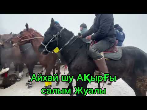 Видео: Жуалы көкпар 04.01.25