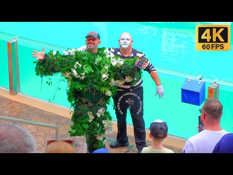 Видео: Том-мим никогда не видел ничего подобного! 😮😂🤣#tomthemime #seaworldmime #funny
