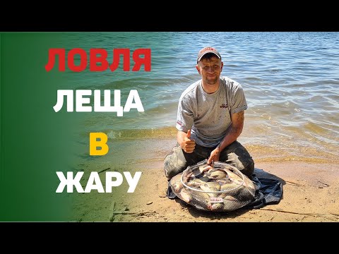 Видео: Ловля леща на водохранилище в жару