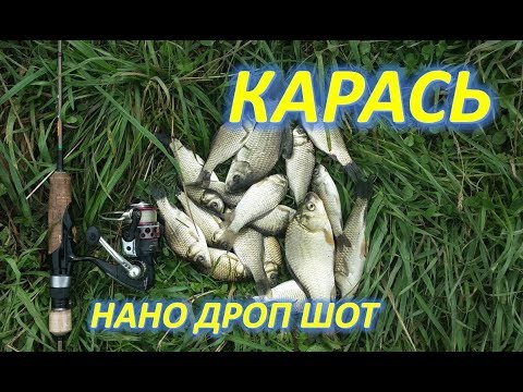 Видео: КАРАСЬ НА НАНО ДРОП ШОТ