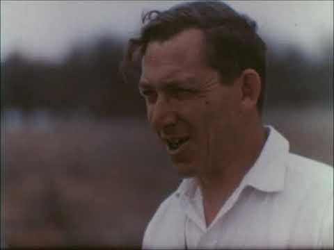 Видео: Фитиль №38