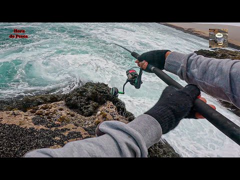 Видео: 2 раза Корвина ушла... Но я не сдался! 🐟🔥 Рыбалка со скал в южной части Тихого океана