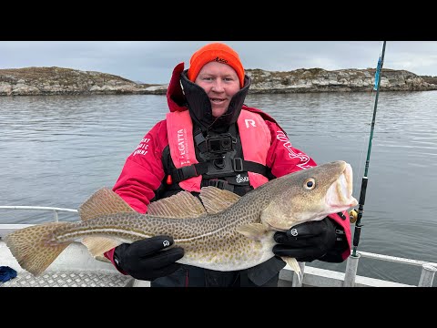 Видео: Рыбалка в Норвегии. Первая рекордная треска Abelvaer  МАРТ 2025