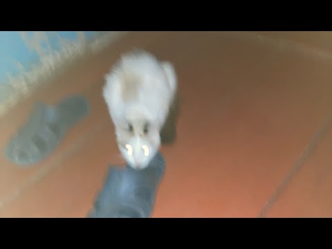 Видео: АСМР БЫСТРЫЙ И АГРЕССИВНЫЙ МАКИЯЖ ЗА 3 МИНУТЫ