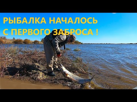Видео: РЫБАЛКА НАЧАЛАСЬ С ПЕРВОГО ЗАБРОСА ! ЭТО Я УДАЧНО ЗАПЛЫЛ