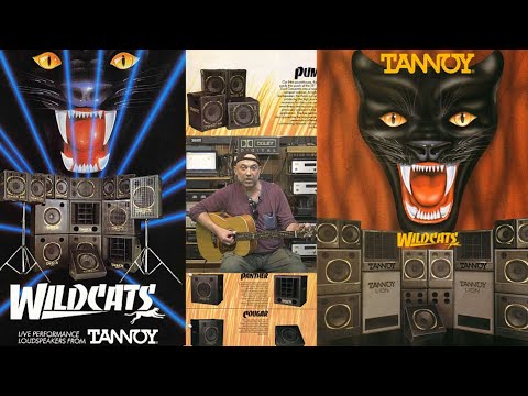 Видео: О бедном Tannoy замолвим слово. часть 4