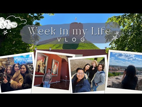 Видео: WEEK IN MY LIFE | музеи и прогулки по Вильнюсу