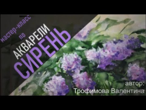 Видео: Мастер-класс по акварели "Сирень"