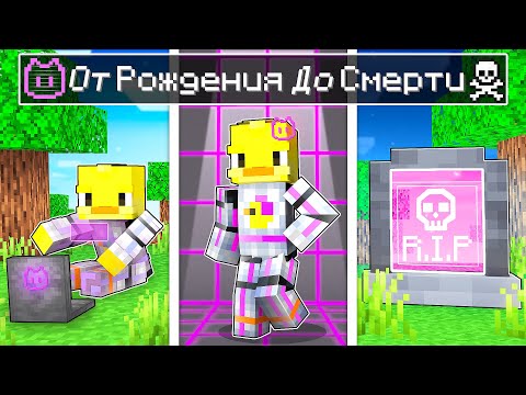 Видео: 😨 ЖИЗНЬ ХАКЕРА От Рождения До Смерти!