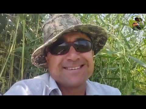 Видео: Бугун балиқ ови яхши булди. Балиқ ови-2025  #баликови #telegram #fishing