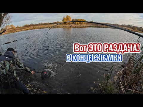 Видео: ПОПАЛИ на РАЗДАЧУ в КОНЦЕ РЫБАЛКИ!