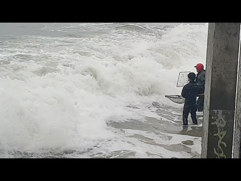 Видео: 😲ТАКОГО Я ЕЩЁ НЕ ВИДЕЛ❗ЛОВЛЯ ЯНТАРЯ САЧКОМ💎 ЗЕЛЕНОГРАДСК, ПОГОДА СЕГОДНЯ, КАЛИНИНГРАДСКАЯ ОБЛАСТЬ 🍁🌊