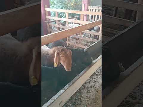 Видео: 24 октября 2025 г.