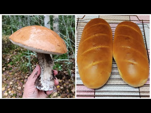 Видео: Как время быстро летит, туда -сюда и день прошёл!!!