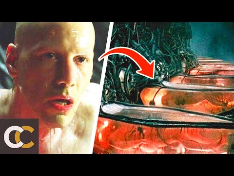 Видео: 15 НЕВЕРОЯТНЫХ деталей в трилогии “МАТРИЦА”, которые вы ПРОПУСТИЛИ