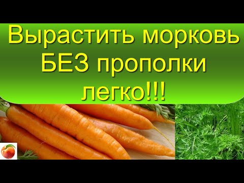 Видео: Вырастить морковь БЕЗ прополки легко! Чистые грядки!