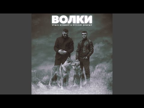 Видео: Волки