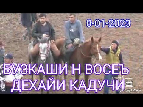 Видео: Бузкаши Кадучи 08-01-2023