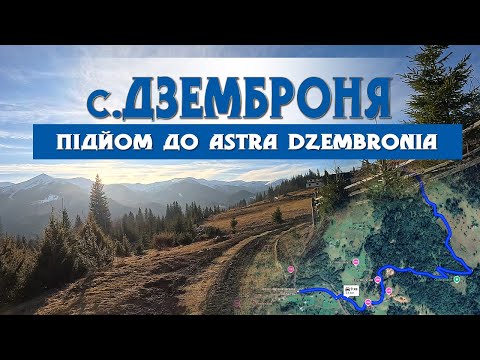Видео: Дорогами с.Дземброня . Підйом до Astra Dzembronia. Подорожуємо та відпочиваємо у горах на автомобілі