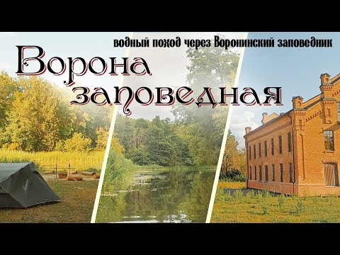 Видео: Ворона заповедная. Водный поход через заповедник «Воронинский». Лето 2024.