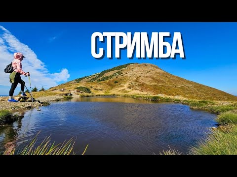 Видео: ОСТАННЯ З ҐОРҐАН - ГОРА СТРИМБА | Колочава | Ґорґани