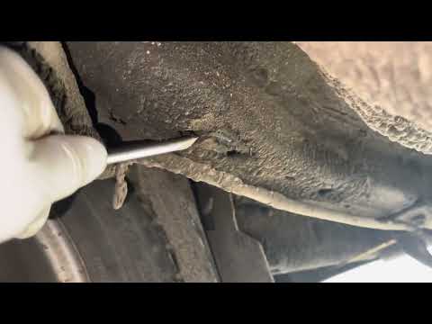 Видео: Пушсало +мастика спустя 5 лет.