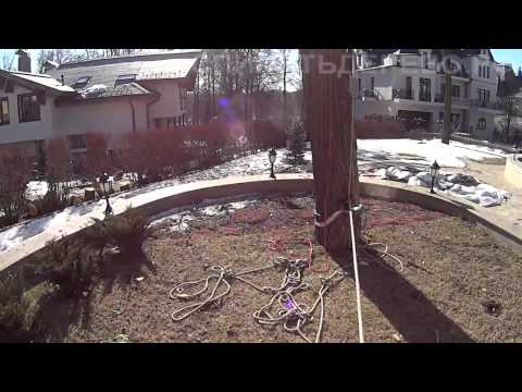 Видео: Удаление высокой липы с полным спуском частей на веревке. 16 марта 2015 года.
