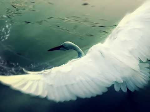 Видео: Татьяна и Елена ЗАЙЦЕВЫ - Белая лебедь