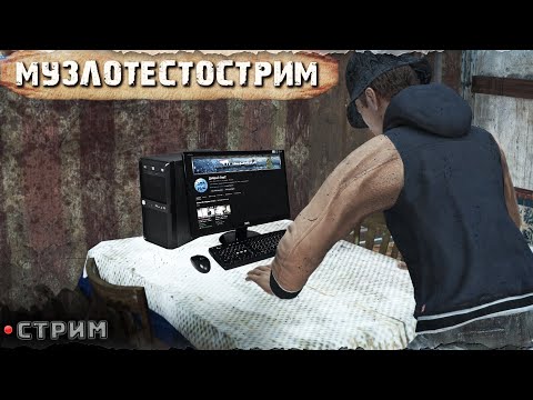 Видео: МУЗЛОТЕСТОСТРИМ | PERVAK server  | DayZ 1.26