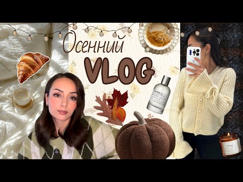 Видео:  Шопинг в lime и MAAG, осенние будни | влог