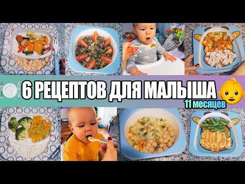 Видео: 6 РЕЦЕПТОВ ДЛЯ МАЛЫША! 11 месяцев ДЕТСКОЕ МЕНЮ