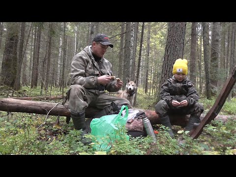 Видео: Охота. Поиск барсучих нор. Браконьерская снасть.