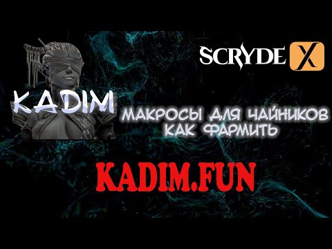Видео: Макросы для чайников SCRYDE