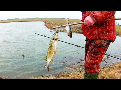 Видео: РЫБАЛКА НА ЭКРАНЫ. Какой размер ячеи самый уловистый.