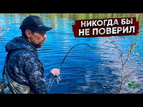 Видео: СЕКРЕТНЫЕ приманки ЛОВЯТ ВСЕ!!! А это ЗАКОННО!?