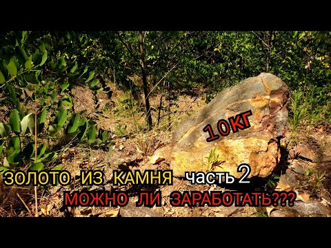 Видео: ЗОЛОТО ИЗ КАМНЯ МОЖНО ЛИ ЗАРАБОТАТЬ часть 2