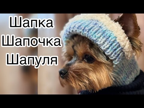 Видео: Вязание шапки для Йорка и не только////knitted dog hat🐾🐾🐾МОДНОЕ ВЯЗАНИЕ!!!