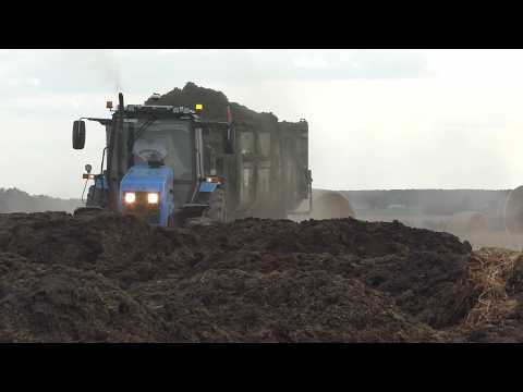 Видео: Эффективная Утилизация Навоза: Амкодор Загружает МТЗ и МАЗ | Современное Агро