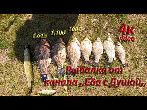 Видео: Рыбалка на Камнях!Убаган радует отличными карасями!!!#рыбалкакостанай#карась#щука#