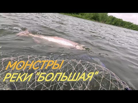 Видео: Ловля чавычи на блесны.