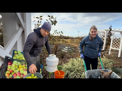 Видео: НАШИ ВЫХОДНЫЕ В ДЕРЕВЕНЬКЕ/УБОРКА УЧАСТКА/ЯБЛОЧНЫЙ СОК ВЕДРАМИ/ ОБУСТРАИВАЕМ МАНГАЛЬНУЮ ЗОНУ