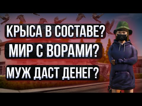 Видео: КРЫСА В СОСТАВЕ? МИР С ВОРАМИ? МУЖ ДАСТ ДЕНЕГ НА ШТРАФ? | AMAZING RP SKY