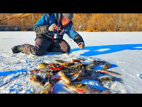 Видео: ВОТ ЭТО ЖОР В ЛУНКЕ ❗️ПЕРВЫЙ ЛЁД у ДЕРЕВНИ и ОПЯТЬ ВСЁ ОЧЕНЬ ТОНКО!