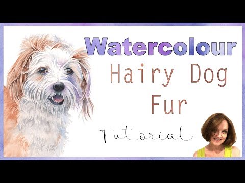 Видео: Как нарисовать шерсть акварелью // Рисование собаки акварелью 🐶