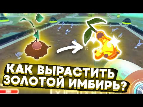 Видео: Slime Rancher. КАК ВЫРАСТИТЬ ЗОЛОТИСТЫЙ ИМБИРЬ?! +мод на погоду