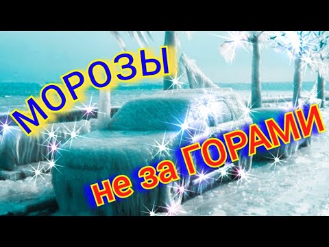Видео: Антифриз Морозы Что лить #авто к холодам #зима #автозимой #автоназиму #аудис4 #ауди100 #caraudi #с4